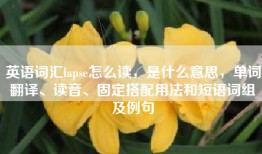 英语词汇lapse怎么读，是什么意思，单词翻译、读音、固定搭配用法和短语词组及例句