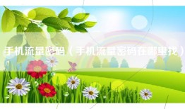手机流量密码（手机流量密码在哪里找）