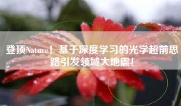 登顶Nature！基于深度学习的光学超前思路引发领域大地震！