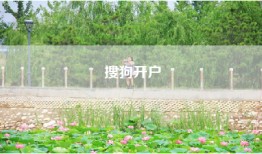搜狗开户