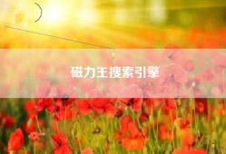 磁力王搜索引擎