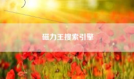 磁力王搜索引擎