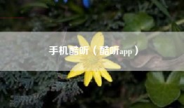 手机酷听（酷听app）