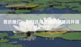 竞价推广：如何选择正确的关键词并调整出价？