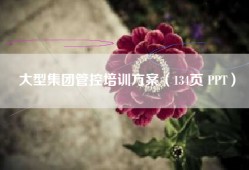 大型集团管控培训方案（134页 PPT）