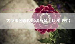 大型集团管控培训方案（134页 PPT）