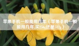 苹果手机一般能用几年（苹果手机一般能用几年,买256g还是512g）