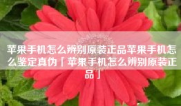 苹果手机怎么辨别原装正品苹果手机怎么鉴定真伪「苹果手机怎么辨别原装正品」