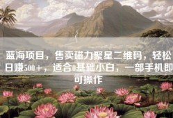 蓝海项目，售卖磁力聚星二维码，轻松日赚500+，适合0基础小白，一部手机即可操作