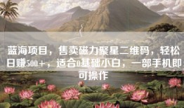 蓝海项目，售卖磁力聚星二维码，轻松日赚500+，适合0基础小白，一部手机即可操作