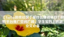 【TapTap游戏社区】是什么赚钱项目？游戏平台推广空间广阔，学生宝妈上班副业党必备
