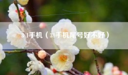3 1手机（31手机尾号好不好）