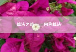 算法之路-------回溯算法