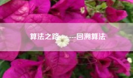 算法之路-------回溯算法