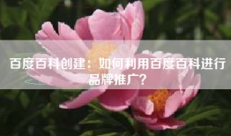 百度百科创建：如何利用百度百科进行品牌推广？