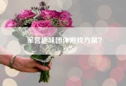军营趣味团体游戏方案？