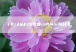 手机电脑租赁商城小程序平台开发