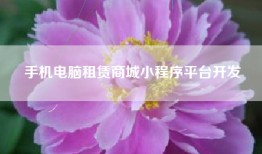 手机电脑租赁商城小程序平台开发