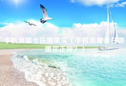 手机流量卡在哪里买（手机流量卡在哪里买正规？）