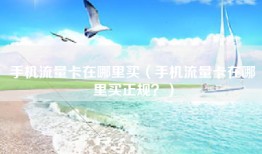 手机流量卡在哪里买（手机流量卡在哪里买正规？）