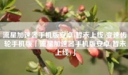 流星加速器手机版安卓(暂未上线)变速齿轮手机版「流星加速器手机版安卓(暂未上线)」