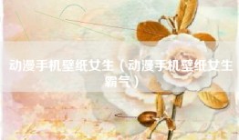 动漫手机壁纸女生（动漫手机壁纸女生霸气）