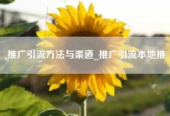 推广引流方法与渠道_推广引流本地推