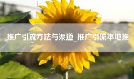 推广引流方法与渠道_推广引流本地推