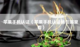 苹果手机认证（苹果手机认证码在哪里看）