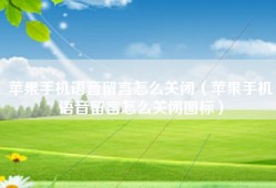 苹果手机语音留言怎么关闭（苹果手机语音留言怎么关闭图标）