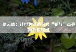 贾云峰：让世界非遗符号“春节”点亮海外夜经济
