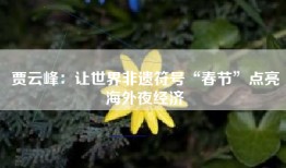 贾云峰：让世界非遗符号“春节”点亮海外夜经济