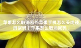 苹果怎么取消密码苹果手机怎么关闭锁屏密码「苹果怎么取消密码」