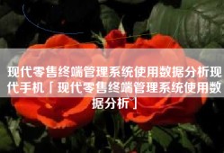 现代零售终端管理系统使用数据分析现代手机「现代零售终端管理系统使用数据分析」