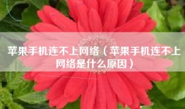 苹果手机连不上网络（苹果手机连不上网络是什么原因）