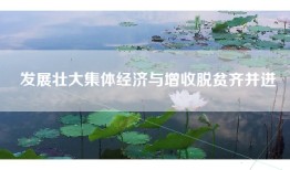 发展壮大集体经济与增收脱贫齐并进