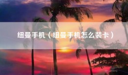 纽曼手机（纽曼手机怎么装卡）