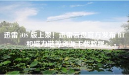迅雷 iOS 版上架！迅雷云盘官方发布 BT 和磁力链等资源下载教程