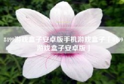 8499游戏盒子安卓版手机游戏盒子「8499游戏盒子安卓版」