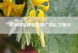 漳州网站建设与推广的论文探讨