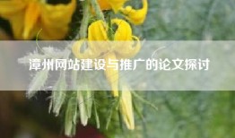 漳州网站建设与推广的论文探讨