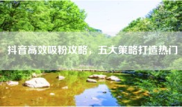 抖音高效吸粉攻略，五大策略打造热门