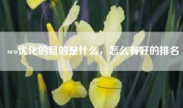 seo优化的目的是什么，怎么有好的排名