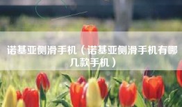 诺基亚侧滑手机（诺基亚侧滑手机有哪几款手机）