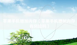 苹果手机增加内存（苹果手机增加内存有风险吗）