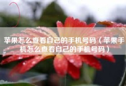 苹果怎么查看自己的手机号码（苹果手机怎么查看自己的手机号码）