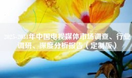 2025-2031年中国电视媒体市场调查、行业调研、深度分析报告（定制版）