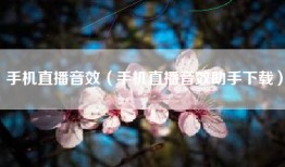 手机直播音效（手机直播音效助手下载）