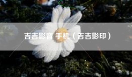吉吉影音 手机（吉吉影印）