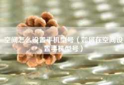 空间怎么设置手机型号（如何在空间设置手机型号）